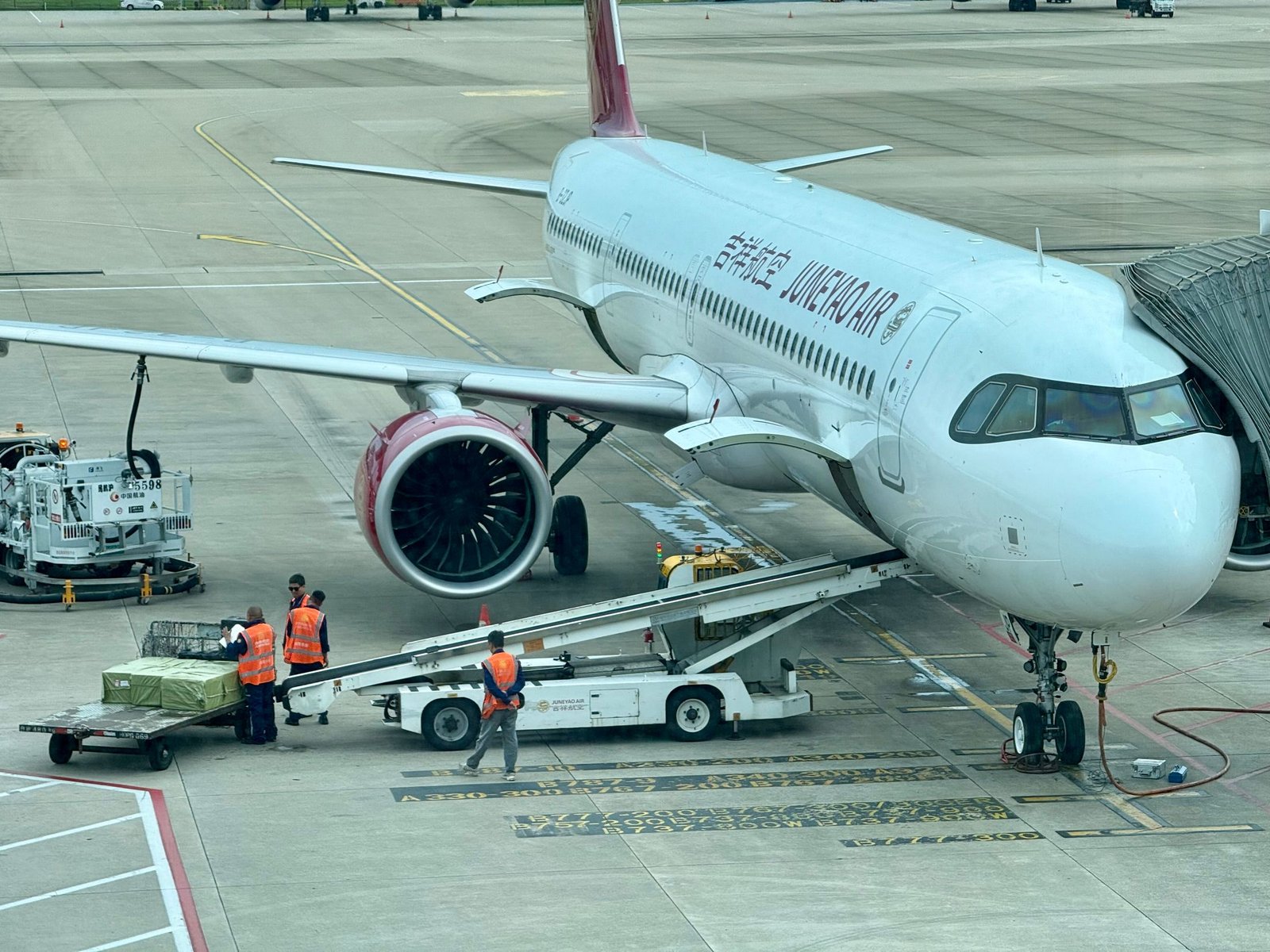 Echte vrachtbehandeling op het platform van een luchthaven.