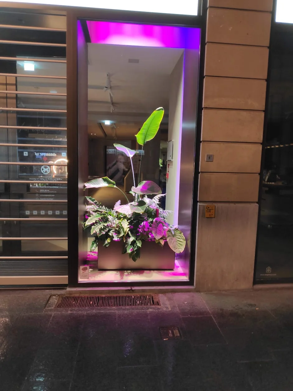 Nespresso-etalage waarin planten met magenta licht worden uitgelicht.